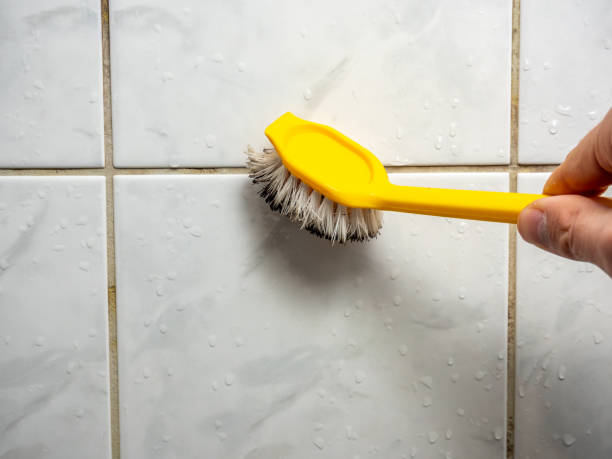 Best Affordable Mold Removal  in Dekal, IL