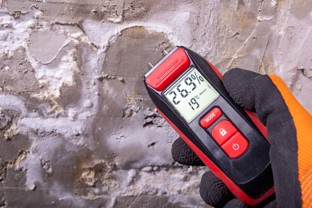 Best Mold Remediation Services  in Dekal, IL