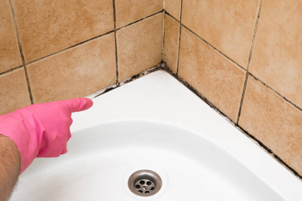 Best Crawl Space Mold Removal  in Dekal, IL